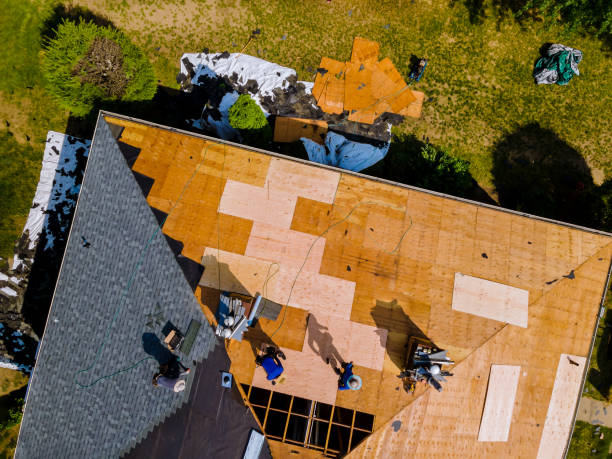 Best Roof Repair Services  in Marks, MS