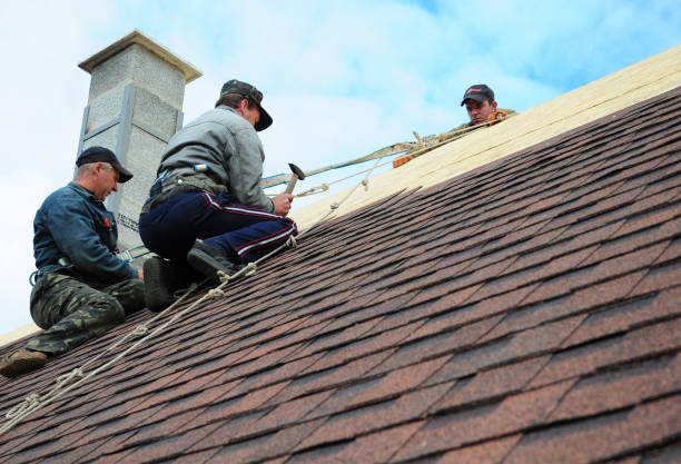 Best Gutter Installation and Roofing  in Marks, MS